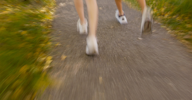 Gr.4-7 Cross-Country Run